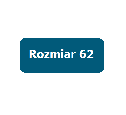 rozmiar 62 - 1-3 miesięcy