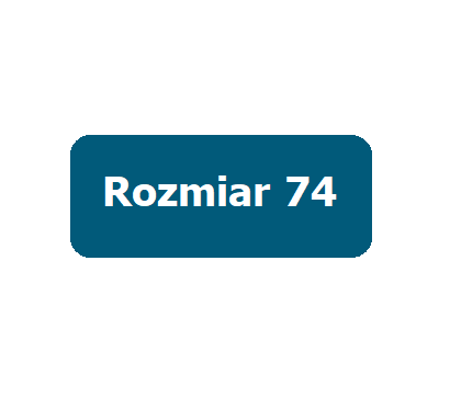 rozmiar 74 - 6-9 miesięcy