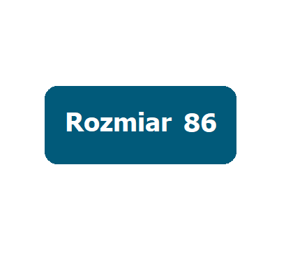 rozmiar 86 - 12-18 miesięcy