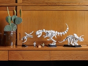 Zestaw LEGO Ideas 21320 Szkielety dinozaurów - 13
