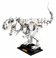 Zestaw LEGO Ideas 21320 Szkielety dinozaurów - 4