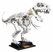 Zestaw LEGO Ideas 21320 Szkielety dinozaurów - 5
