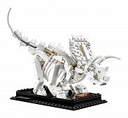 Zestaw LEGO Ideas 21320 Szkielety dinozaurów - 7