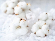 * NiNi Body niemowlęce chłopięce ABN-2707 - 11